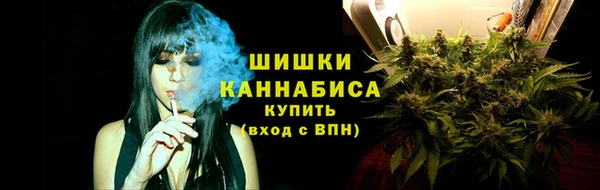 таблы Бородино