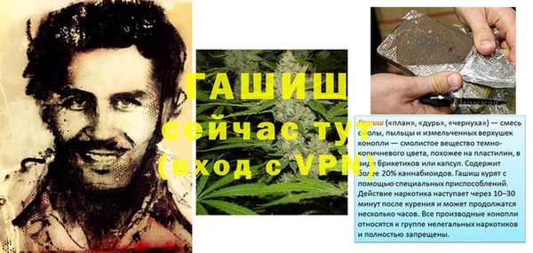 таблы Бородино