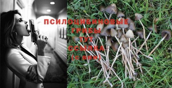каннабис Богородск